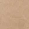 Fornes Pulpis Brown | 800x1600 | Glossy Tiles
