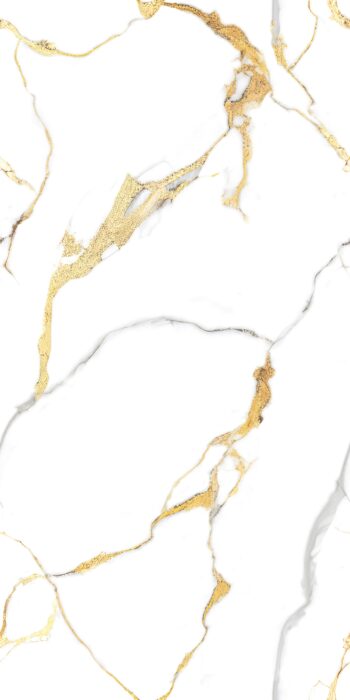 1135 | 2x4 ft | Golden Series Tiles