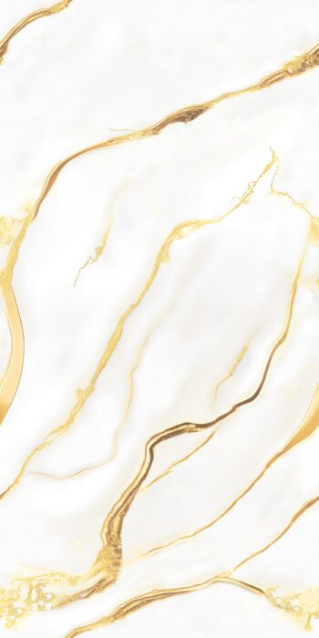 1142 | 2x4 ft | Golden Series Tiles