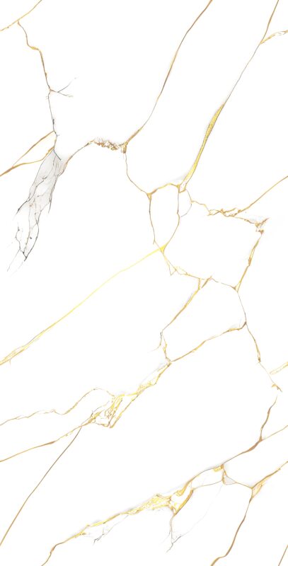 1148 | 2x4 ft | Golden Series Tiles