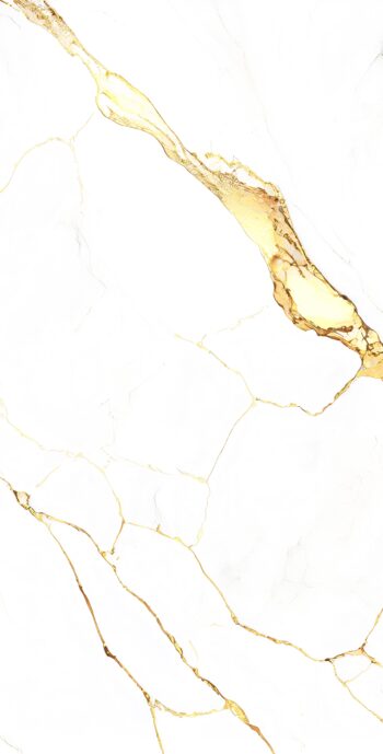 1150 | 2x4 ft | Golden Series Tiles