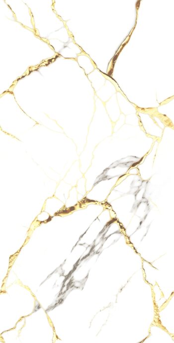 1153 | 2x4 ft | Golden Series Tiles