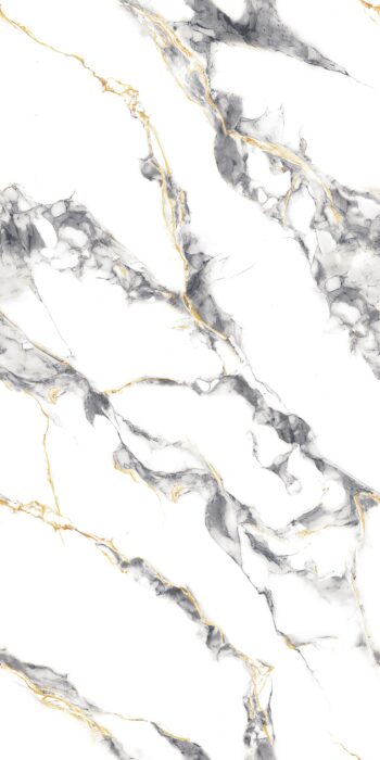 1162 | 2x4 ft | Golden Series Tiles