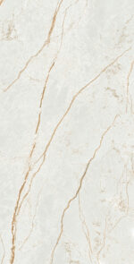 Asta Smoky | 600×1200 mm | Glossy Finish Tiles