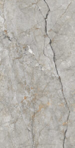 Avorio Grey | 600×1200 mm | Glossy Finish Tiles