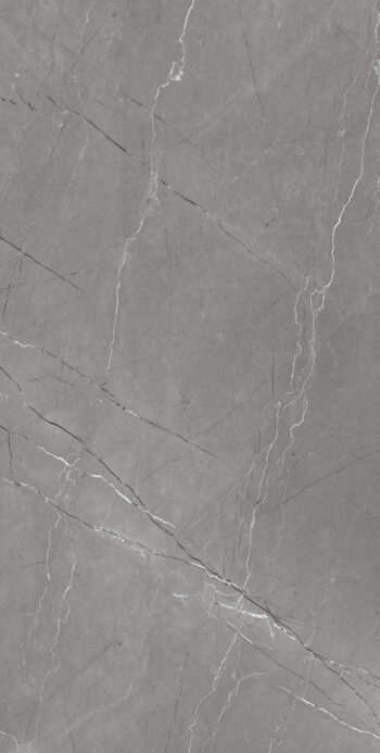 Atlanta Grey | 600×1200 mm | Glossy Finish Tiles