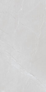 Atlanta Grey Light | 600×1200 mm | Glossy Finish Tiles