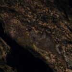 Bramino | 600x1200mm | Super High Glossy