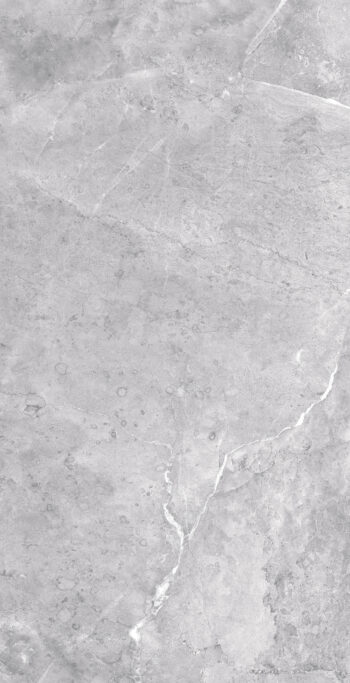 Borgogna Grey | 600×1200 mm | Glossy Finish Tiles