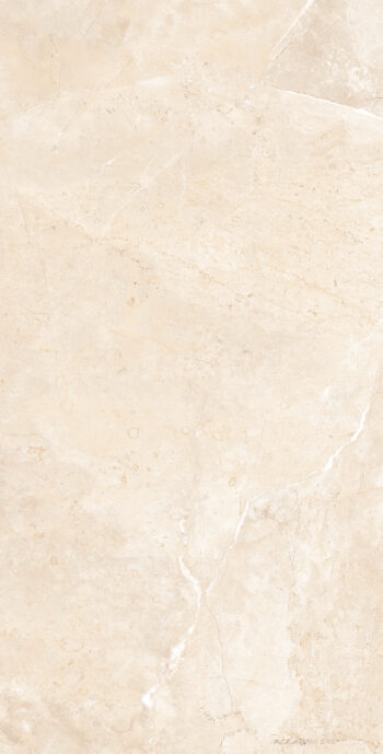 Borgogna Ivory | 600×1200 mm | Glossy Finish Tiles