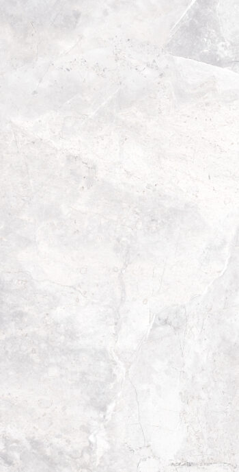 Borgogna Silver | 600×1200 mm | Glossy Finish Tiles
