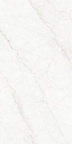 Bottochino White | 600×1200 mm | Glossy Tiles