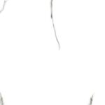 Calcutta Grey | 4X2 ft | Statuario Tiles-Glossy