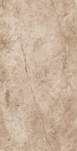 Carburry Brown | 600×1200 mm | Glossy Finish Tiles
