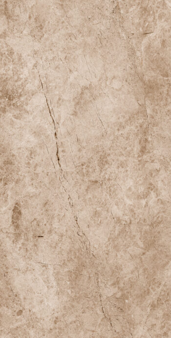 Carburry Brown | 600×1200 mm | Glossy Finish Tiles