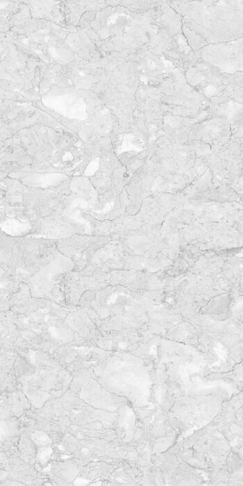 Casper Grey | 600×1200 mm | Glossy Tiles
