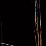 Jeff Lewis | 600x1200mm | Super High Glossy