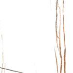 Jeff Lewis White | 600x1200mm | Super High Glossy