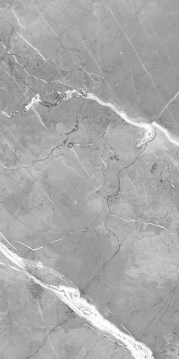 Mega Grey | 600×1200 mm | Glossy Finish Tiles