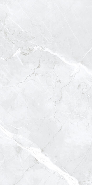 Mega Light Grey | 600×1200 mm | Glossy Finish Tiles