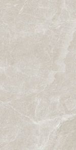 Moset Dust| 600×1200 mm | Glossy Finish Tiles