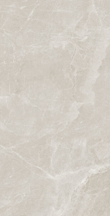 Moset Dust| 600×1200 mm | Glossy Finish Tiles