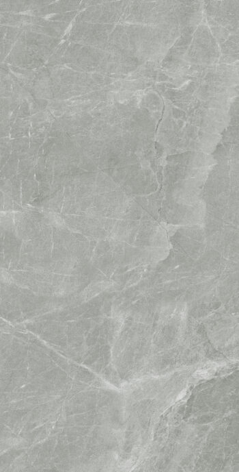 Moset Grey | 600×1200 mm | Glossy Finish Tiles