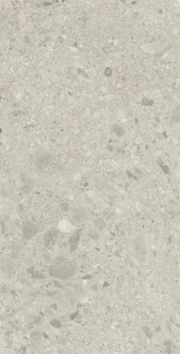 Nove Dust | 600×1200 mm | Glossy Finish Tiles