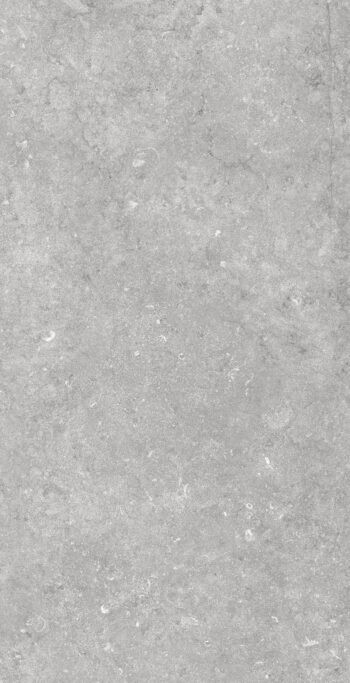 Panero Grey | 600×1200 mm | Glossy Finish Tiles
