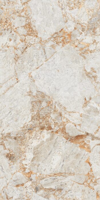 Parker Brown | 600x1200mm | Never End Tiles