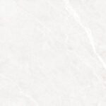 Pesco Bianco| 60x120 cm | Glossy Tiles