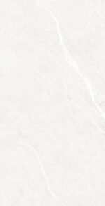 Pesco Bianco| 60x120 cm | Glossy Tiles