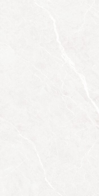 Pesco Bianco| 60x120 cm | Glossy Tiles