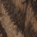 Ruano Choco | 600x1200mm | Super High Glossy