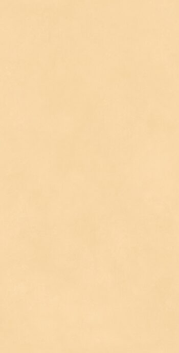 Sleck Mustard | 600x1200 mm | Pastel Color Tiles