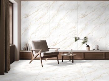 2x4 gvt vitrified tiles
