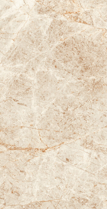 Thunder Beide | 600×1200 mm | Glossy Finish Tiles
