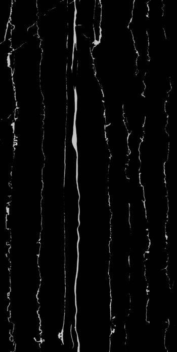 Zebra Black | 600x1200mm | Super High Glossy