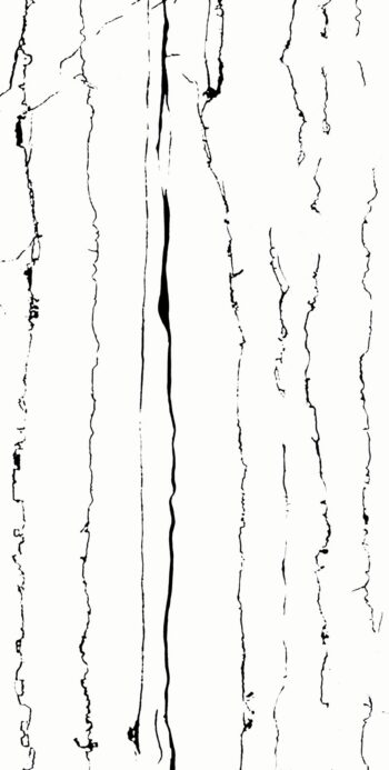 Zebra White | 600x1200mm | Super High Glossy