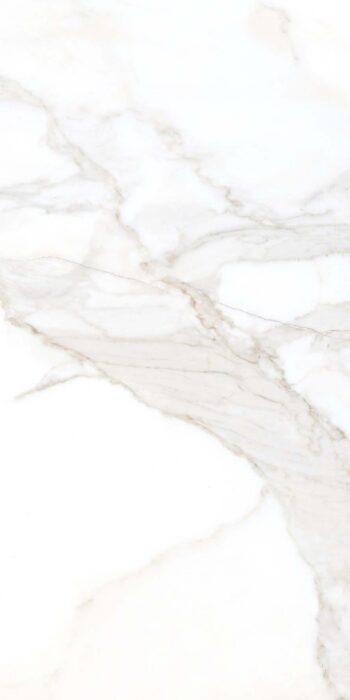 Tempe White | 4X2 ft | Statuario Tiles-Glossy