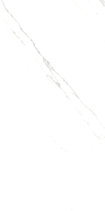 Corus Statuario| 600×1200 mm | Glossy Tiles
