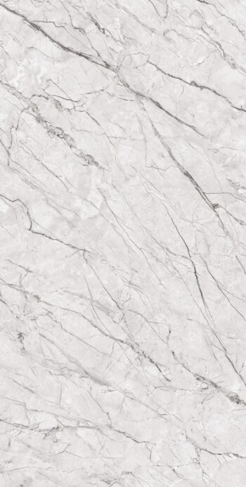 Floveins Grey | 600×1200 mm | Glossy Tiles