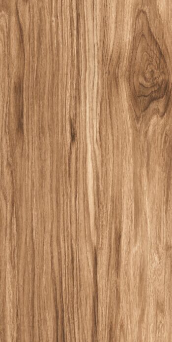 Grand Birlwood Brown | 600x1200mm | Wooden Matt