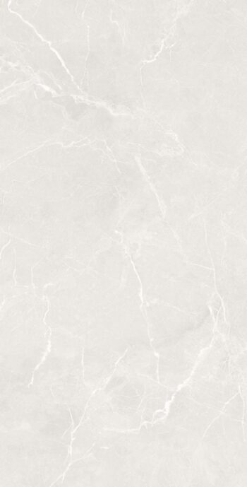 Mac Smoky | 600×1200 mm | Glossy Tiles
