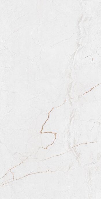 Magnificent Marfil Grey | 600×1200 mm | Glossy Tiles