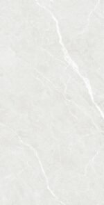 Pesco Grey | 600×1200 mm | Glossy Tiles