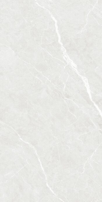 Pesco Grey | 600×1200 mm | Glossy Tiles