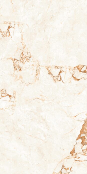 Royal Cillia | 600×1200 mm | Glossy Tiles