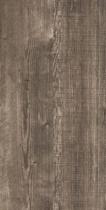 Scott Wood Ivory | 600x1200mm | Wooden Matt