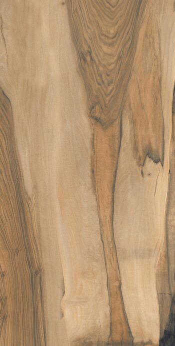 Sisso Wood Natural | 600x1200mm | Wooden Matt
